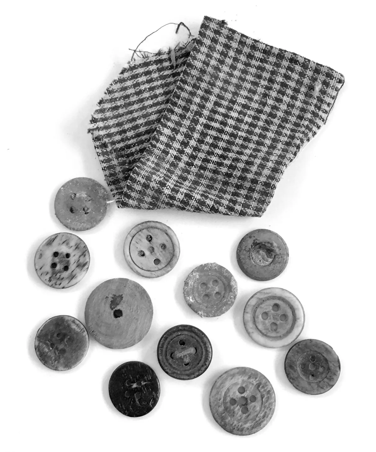ODA_SOREL_MOUSSEL_BOUTONS